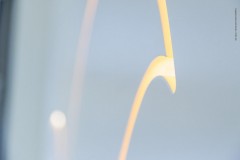 FOL_02_049-973x648-1